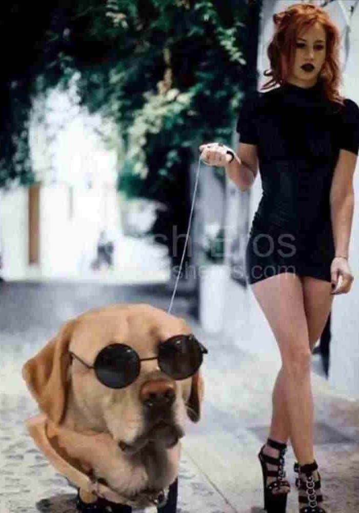 MISTRESS - Mistress Black