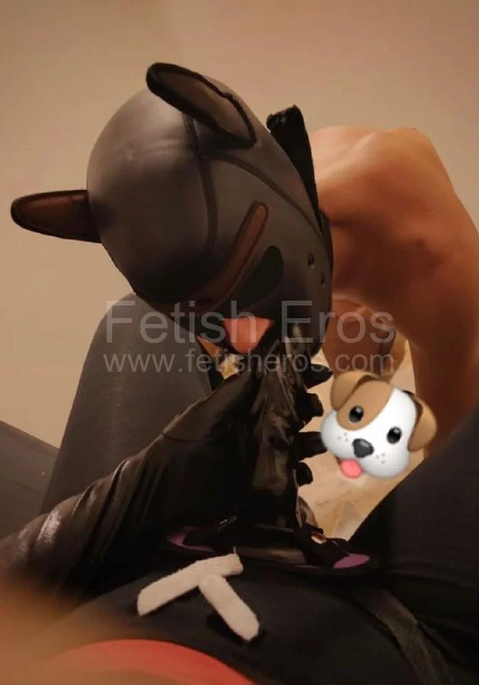 MISTRESS - Queen Dom