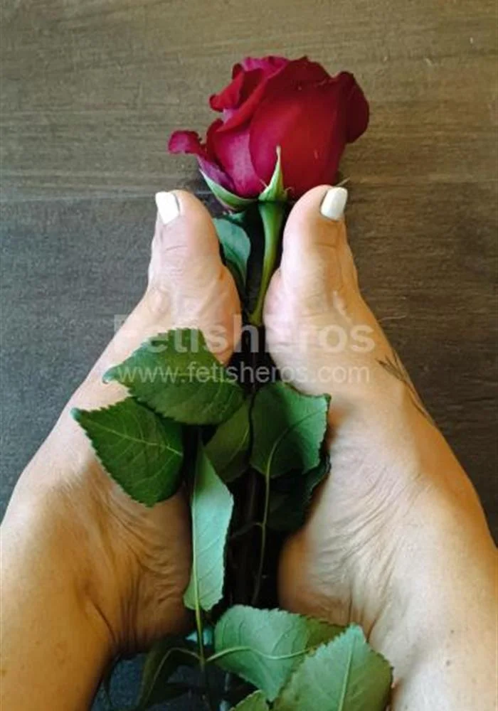 MISTRESS -  Dea Silvia