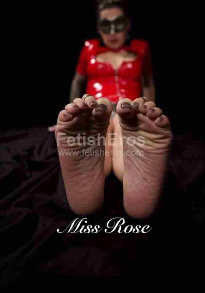 MISSS ROSE
