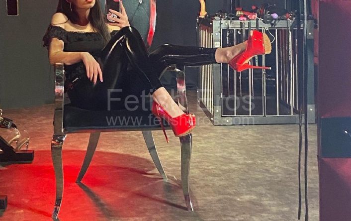 Domina Dafne